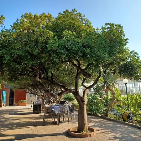 Hotel Acciaroli ホテル